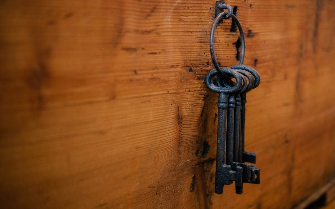 Help Your Website Increase Revenue: Key Page Elements for Driving Sales Online