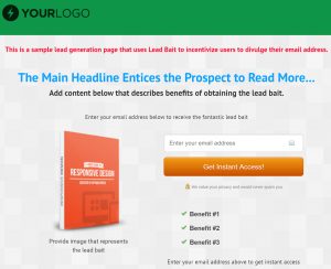 example of a webpage that displays lead bait and an optin form
